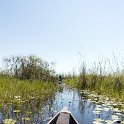 BWA NW OkavangoDelta 2016DEC02 Mokoro 007 : 2016, 2016 - African Adventures, Africa, Botswana, Date, December, Mokoro Base Camp, Month, Northwest, Okavango Delta, Places, Southern, Trips, Year
